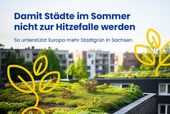 LinkedIn Bild