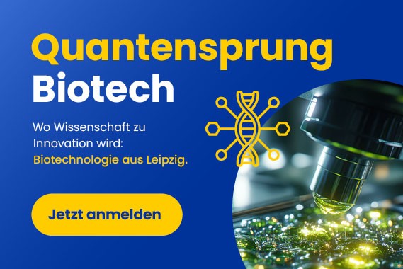 LinkedIn Bild